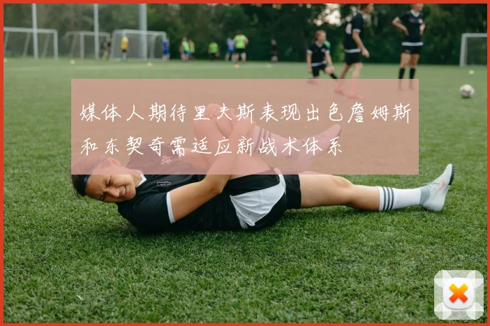 媒体人期待里夫斯表现出色詹姆斯和东契奇需适应新战术体系